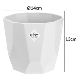 Garten & Außenbereich -Garten & Außenbereich 2634c9055befe9ed5c5672c242e31f5b de 193653d 2 1