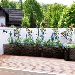 Hochbeet Polyrattanoptik Anthrazit 60x25x46cm 15 Hochbeet Polyrattanoptik Anthrazit 60x25x46cm -Garten & Außenbereich 41f71028deeb88f302fa8d7e9249ed8b de 108518d 4 1 1