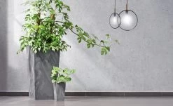 Blumentopf Betonoptik Grau 26L -Garten & Außenbereich 45f0b12c87da333e92b3d69e948e59d5 de 881771d 1 1 2