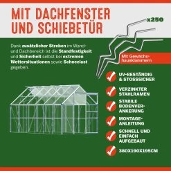 Alu Gewächshaus 380x190x195cm 4 Dachfenster -Garten & Außenbereich 474b557688e3426bbaf1e6aecac1cba5 03 991469 on dts web low de 1