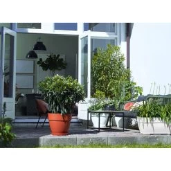 Elho Blumentopf Weiß 80x33x35cm 63L -Garten & Außenbereich a85e8c484468cbc19909ce2a22fffba6 de 193675d 4 1