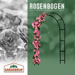 Rosenbogen 2er-Set Schwarz 240x37x140cm -Garten & Außenbereich be16f9a5901906c94695cb3d74beafa2 a de 101492g2 1