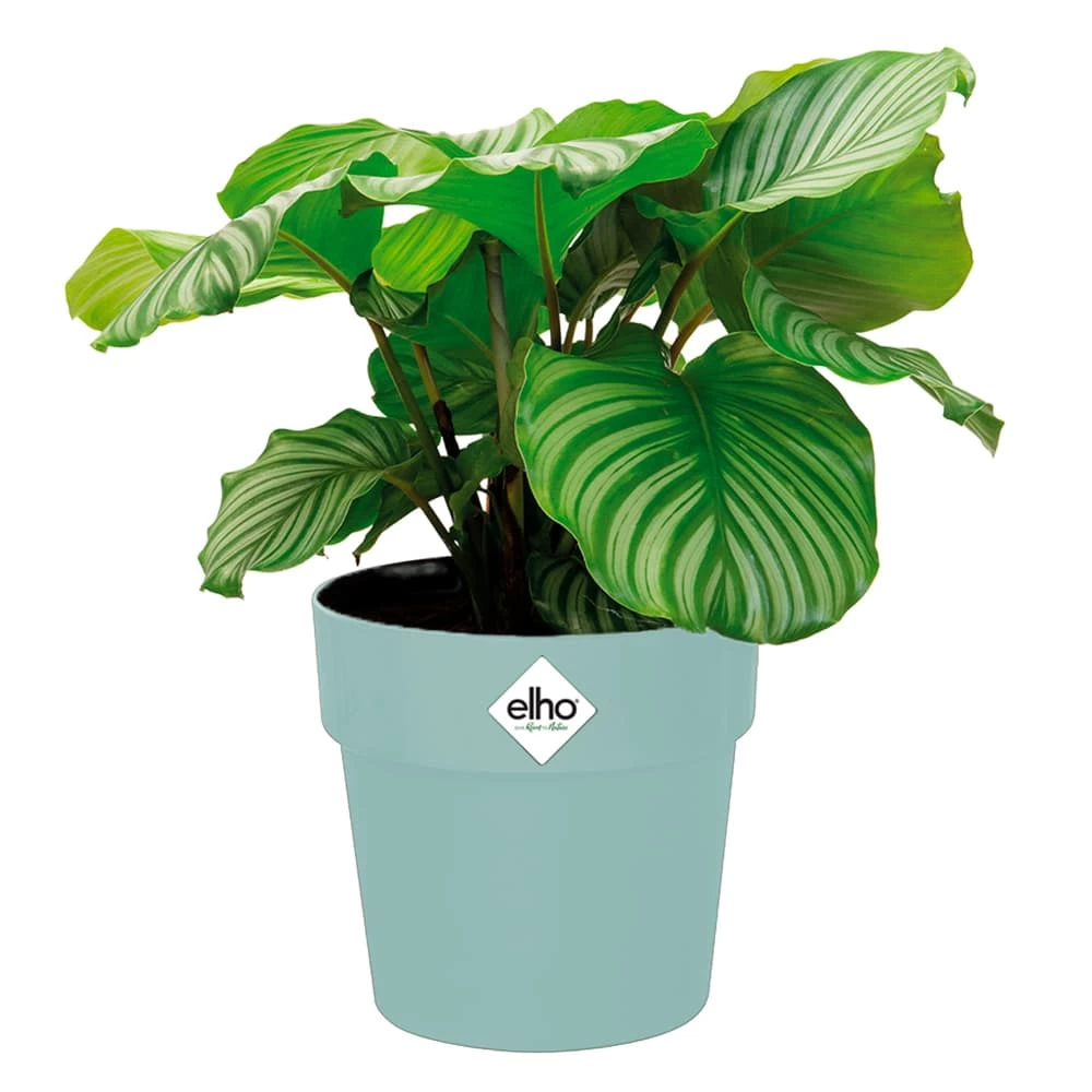 Elho Blumentopf Mint 18x17cm 2,9L 1 Elho Blumentopf Mint 18x17cm 2,9L