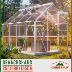 Alu Gewächshaus 250x190x195cm Mit Fundament -Garten & Außenbereich cb2f6102540f6824df1b9e8a625970be 06 991461 on amb amz low de 1 1