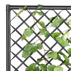 Polyrattan Blumenkasten Mit Rankgitter Schwarz 13 Polyrattan Blumenkasten Mit Rankgitter Schwarz -Garten & Außenbereich cd0a4844923ef18e3d37c123ab1c345c de 108065d 7 1