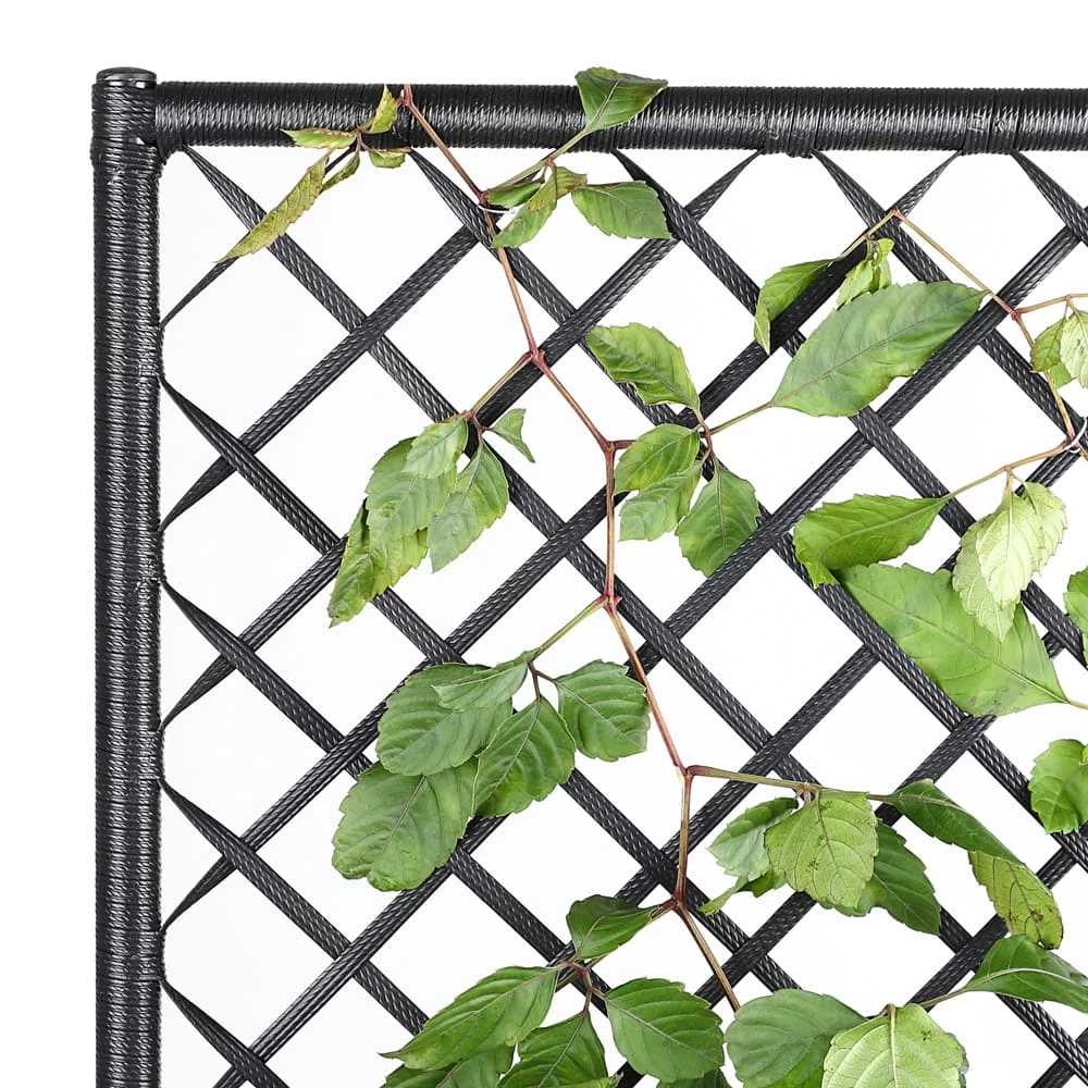 Polyrattan Blumenkasten Mit Rankgitter Schwarz 6 Polyrattan Blumenkasten Mit Rankgitter Schwarz – Bild 6