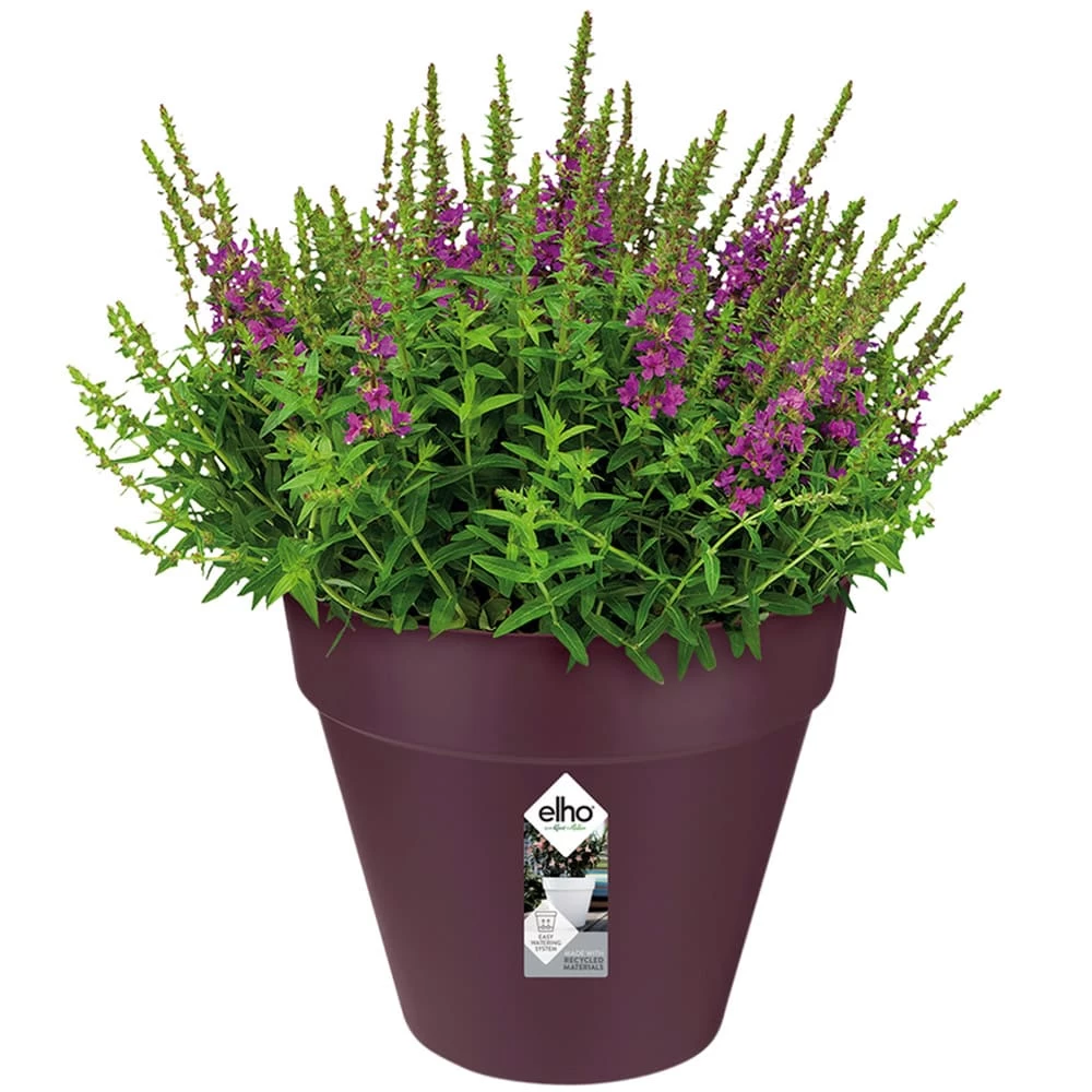 Elho Blumentopf Maulbeere Matt 25x22cm 5,5L 1 Elho Blumentopf Maulbeere Matt 25x22cm 5,5L