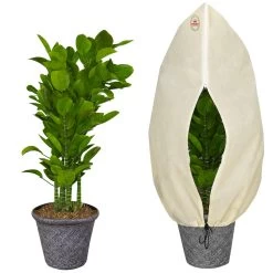 Pflanzenschutzhaube 3er-Set Beige 1,2x1,8m -Garten & Außenbereich efe87a01819c07a19b046a87e6d09347 de 882190d 9 3 1 1