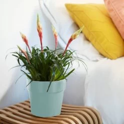 Elho Blumentopf Mint 18x17cm 2,9L 6 Elho Blumentopf Mint 18x17cm 2,9L -Garten & Außenbereich f5cb3d368259f02307261fe6fc3a37fb de 193649d 3 1 1