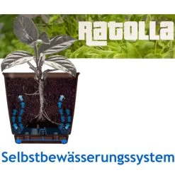 Balkonkasten Ratolla Umbra 39x16x14,5cm 7 Balkonkasten Ratolla Umbra 39x16x14,5cm -Garten & Außenbereich fd05a767246d58b9ca964fad7e2c2334 de 880701d 1 2