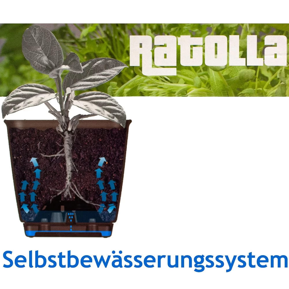 Balkonkasten Ratolla Anthrazit 49x16x17,5cm 2 Balkonkasten Ratolla Anthrazit 49x16x17,5cm – Bild 2
